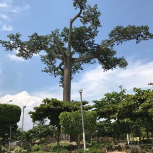 parque la lupuna, atractivo turistico de la amazonia peruana