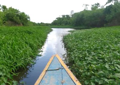 Ruta fluvial por el caño a las malocas donde se hace las sesiones de la ayahuasca