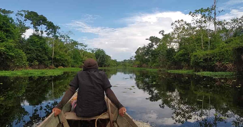 Hermosa vista en bote, por el caño, ingresando al lugar de sesión de la ayahuasca