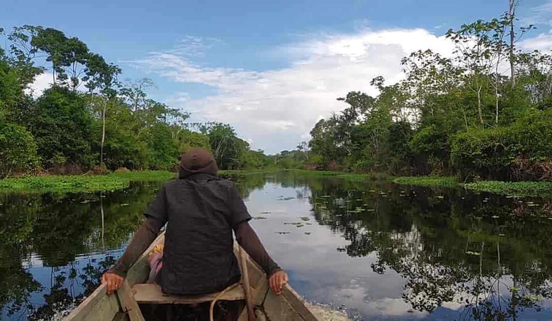 Miedo a la Ayahuasca