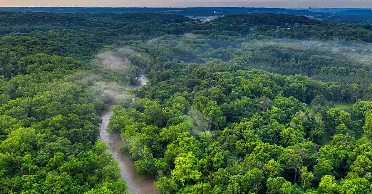 Imagen aérea de la selva amazónica