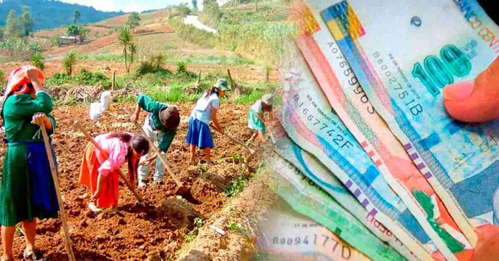 Campesinos agricultores trabajando, mientras se muestra dinero