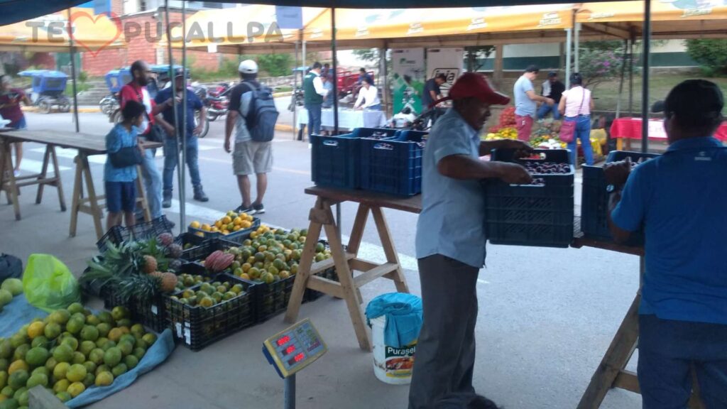 Impacto económico de las ONGs - productores sacando sus productos a las ferias agrícolas