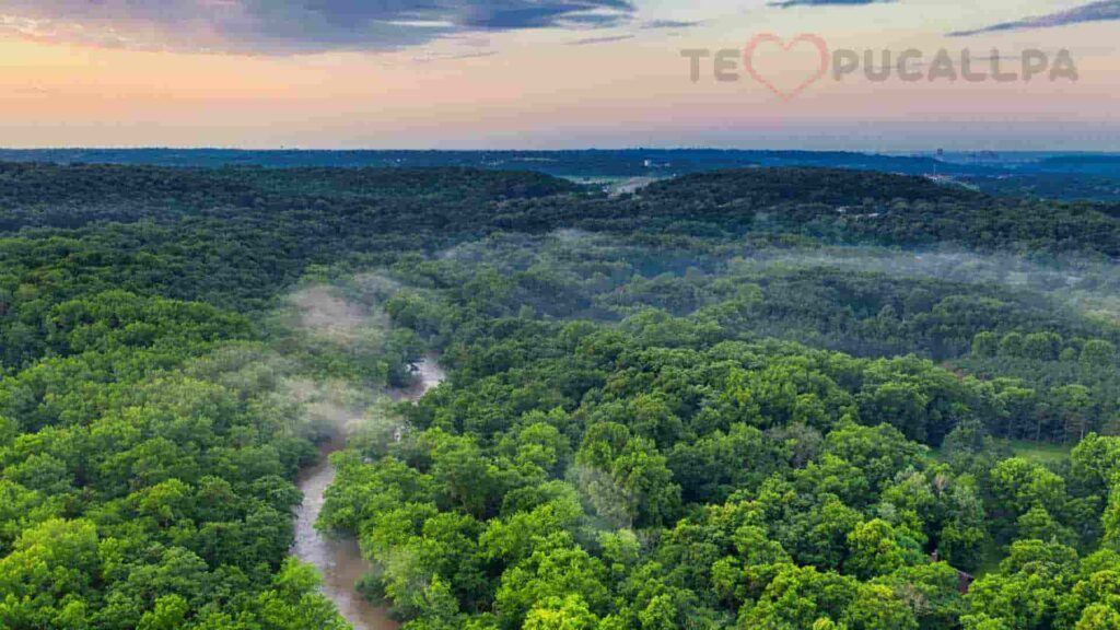 La sachamama - selva amazónica vista aérea