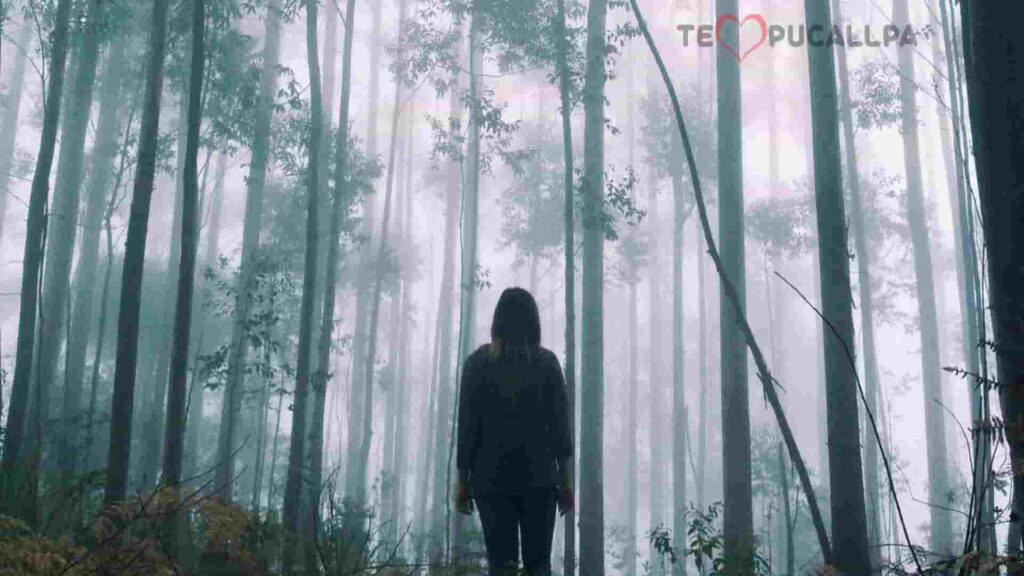 El tunche - mujer en bosque escuchando el silbido